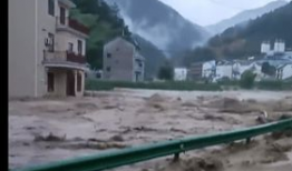 洪水视频,惊心动魄的现场纪实