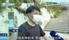 网红男朋友吃瓜爆料,娱乐圈背后的惊人真相